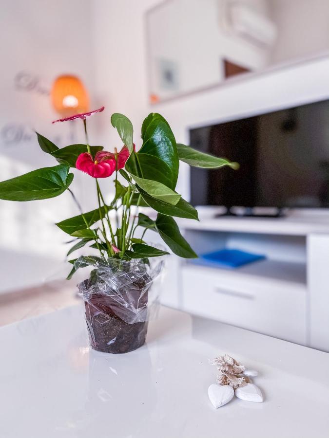 Myhouse Inn Torino - Affitti Brevi Italia 科莱尼奥 外观 照片